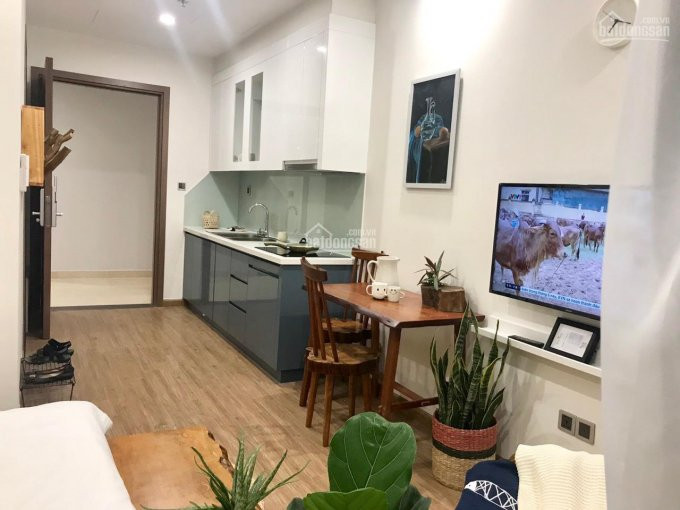 Tôi Chính Chủ Cần Cho Thuê Căn Hộ Studio 28m2 Giá Từ 5tr/th ở Vinhomes Greenbay Mễ Trì, 0966386282 3