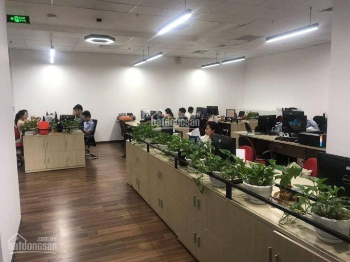 Trực Tiếp Bql Dự án Toà Tid Center Liễu Giai, Ba đình Cho Thuê Văn Phòng Diện Tích Linh Hoạt 5