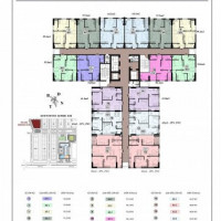 Chính Chủ Bán Nhanh Căn Hộ Chung Cư Xphomes Tân Tây đô Tầng 11 Căn Số 10 Giá 19tr/m2