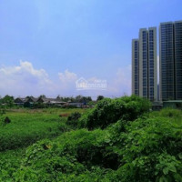 Chính Chủ Bán Nhanh đất Vườn 4400m2 - đối Diện Vinhome - đường Nguyễn Xiển - Plong Thạnh Mỹ - Q9 *** 15 Triệu/m2