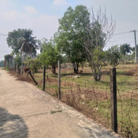 Chính Chủ Bán Nhanh đất Vườn 4544m2 - Mặt Tiền đường Long Phước - Plong Phước - Q9 - Giá Siêu Rẻ 62 Triệu/m2