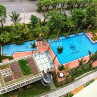 Chính Chủ Cần Bán Gấp Căn Studio Westbay A Ecopark, Nhà đủ đồ, Thiết Kế Cực đẹp, View Dự án, Lh 0967666683