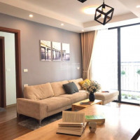 Chính Chủ Cho Thuê Nhanh Căn 2pn 2vs, Full Nội Thất đẹp Tại Vinhome Green Bay