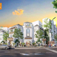 Giỏ Hàng 100 Căn Nhà Phố Thương Mại Biệt Thự Song Lập đơn Lập Giá Gốc Cđt Vinhomes Grand Park