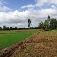 Hơn 6 Sào đất Chnk Thuộc Quy Hoạch đất ở Tại Xã Ninh An