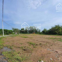 Kẹt Tiền Học Phí Cho Con, Tôi Bán 2600m2 đất Giá: 720 Triệu, Sổ Hồng Riêng Lh: 0931168667