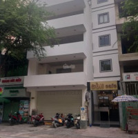 Nhà Mt Nguyễn Bỉnh Khiêm, P Bến Nghé - Quận 1, Ngay Lê Duẩn, Ngang 7m Dtsd 128m2 - Giá 26,5 Tỷ