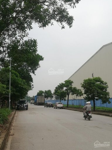 1108m2 Ngọc Trì, Kim Hoa, Thị Trấn Quang Minh, Mê Linh, Hà Nội 155 Triệu/m2, Ngõ Chính, Thông 6