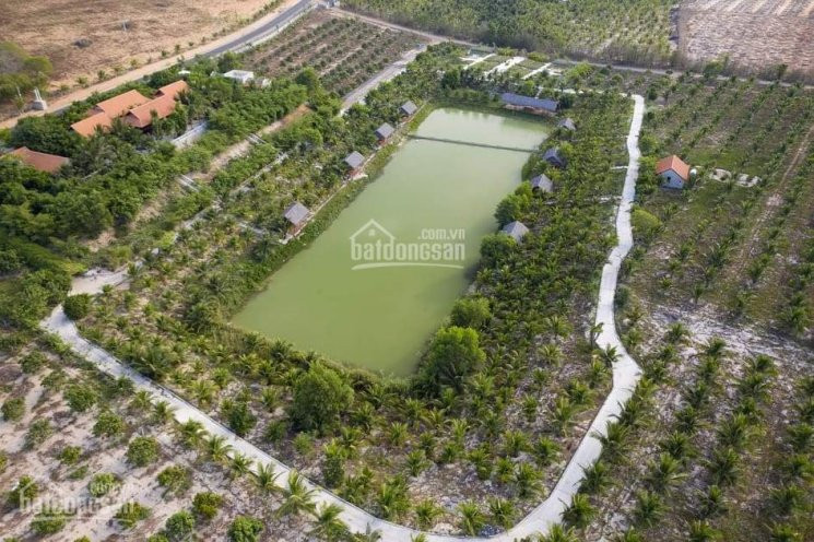 Agribank Bình Thuận Thanh Lý đất Biển: 60000đ/m2 - View đồi Xanh, View Biển - Lh: 0934458789 3