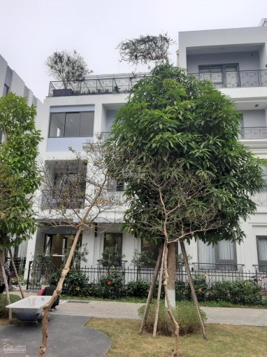 Bán Biệt Thự Trung Tâm Hà Nội 200m, Chính Chủ đầu Tư 12 Tỷ Nhận Nhà, Chiết Khấu 12%, The Manor 8