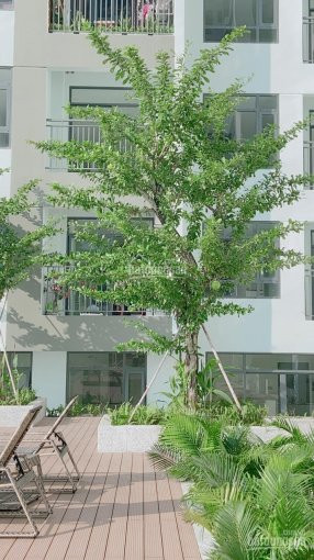 Căn Hộ 1 Phòng Ngủ Central Premium, 48m2, Căn Góc 2 Mặt Thoáng, Giá 2,3 Tỷ, View Hồ Bơi, Tầng Thấp 6