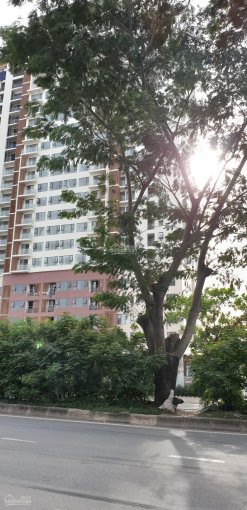 Căn Hộ Ascent Lakeside Mt Nguyễn Văn Linh, Q7, Nhận Nhà ở Ngay, Giá Gốc Cđt, Ck 2% Và Tặng Nt 150tr 3