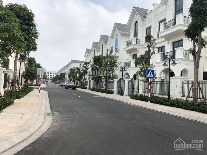 Căn Siêu Vip - Giá Tốt Nhất Thị Trường - Biệt Thự Song Lập 150m2 Dãy San Hô Vinhomes Ocean Park 4