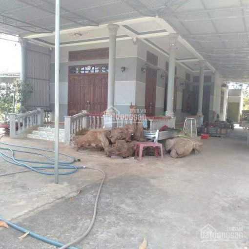 Chính Chủ Bán 7000m2 đất Trồng Cây Bơ, 70m Mặt đường, 400m2 Thổ Cư Mặt đường Quy Hoạch 34m 2