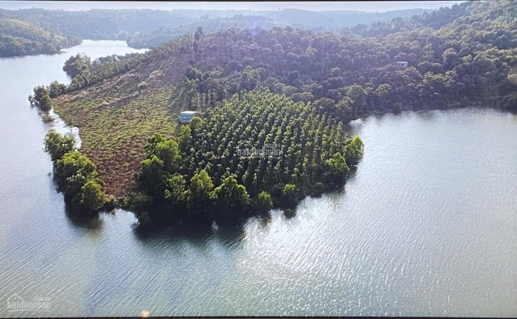 Chính Chủ Bán đất View Hồ - Thành Phố Gia Nghĩa - đăk Nông 3