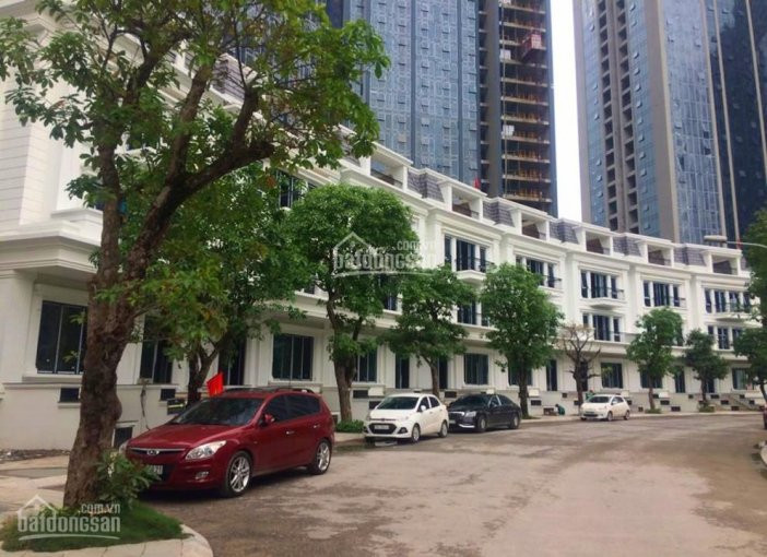 Chính Chủ Bán Lô Shophouse Sunshine City, View Vườn Hoa Trung Tâm, Giá 125tr/m2 2