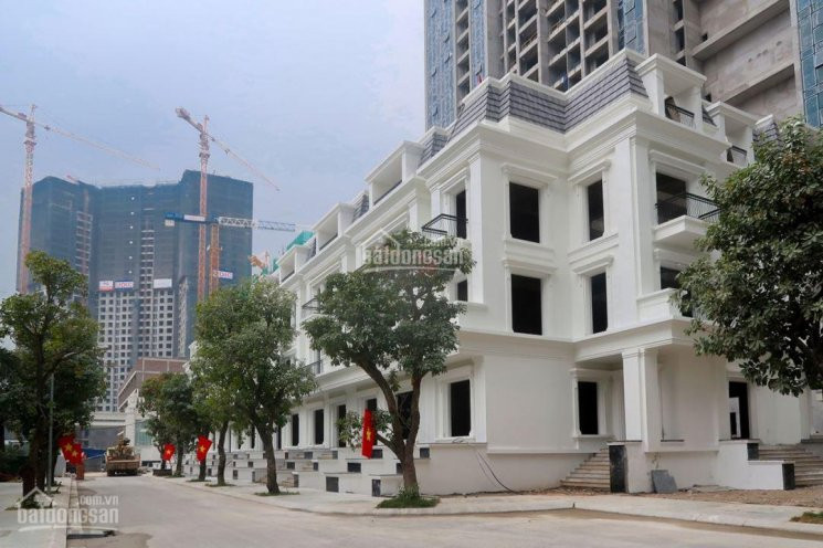 Chính Chủ Bán Lô Shophouse Sunshine City, View Vườn Hoa Trung Tâm, Giá 125tr/m2 3