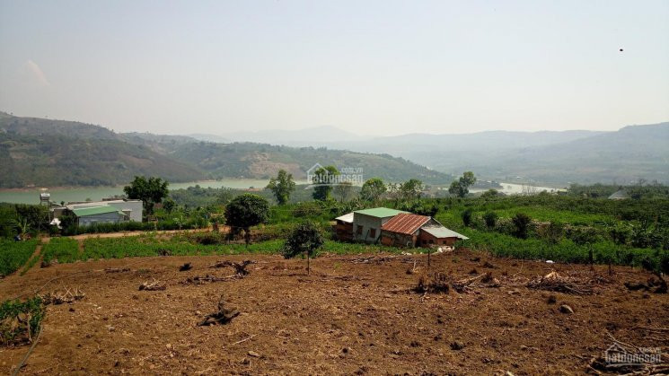 Chính Chủ Bán Nhanh 11635m2 đất Thổ Cư View Sông đồng Nai - Xã đinh Lạc, Huyện Di Linh 2