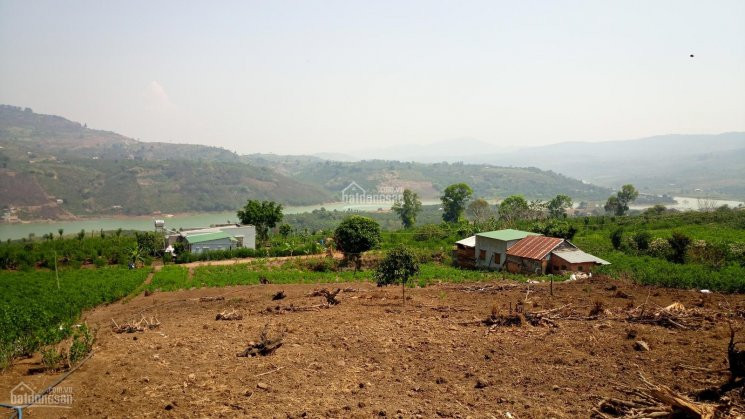 Chính Chủ Bán Nhanh 11635m2 đất Thổ Cư View Sông đồng Nai - Xã đinh Lạc, Huyện Di Linh 6