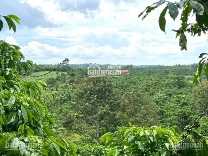 Chính Chủ Bán Nhanh 4,751m2 đất Lộc Nga, Tp Bảo Lộc Giá 38tỷ Cách Tt 5km, đối Diện Resort đôi Dép, đường Nhựa 8m 1