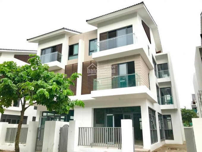 Chính Chủ Bán Nhanh Biệt Thự An Vượng Villa Giá 14 Tỷ Thanh Toán Theo Tiến độ 12 Tháng Hỗ Trợ Ls 0% 18 Tháng 3