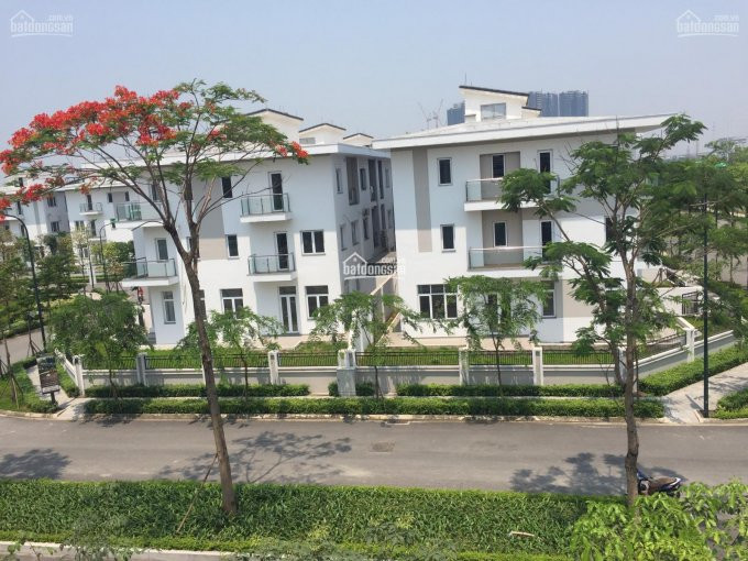 Chính Chủ Bán Nhanh Biệt Thự Khu K Ciputra 140m2, 180m2, 324m2, 400m2, Giá 21,5 Tỷ đã Có Sổ đỏ, Nhận Nhà ở Ngay 6