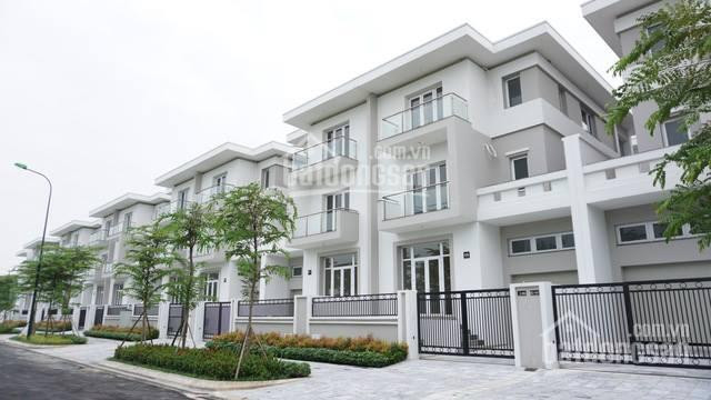 Chính Chủ Bán Nhanh Biệt Thự Khu K Ciputra 140m2, 180m2, 324m2, 400m2, Giá 21,5 Tỷ đã Có Sổ đỏ, Nhận Nhà ở Ngay 7