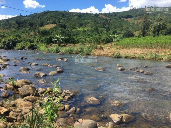 Chính Chủ Bán Nhanh đất Giáp Suối, Khu Cắm Trại đam Bri Eco Lodge, Lộc Tân, Bảo Lộc 1