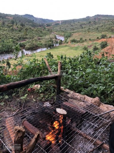 Chính Chủ Bán Nhanh đất Giáp Suối, Khu Cắm Trại đam Bri Eco Lodge, Lộc Tân, Bảo Lộc 3