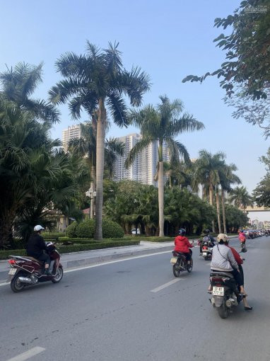 Chính Chủ Bán Nhanh đất Lô Góc Xây Building Phân Lô Nguyễn Cơ Thạch-hàm Nghi-lê đức Thọ - 335 Tỷ Dt 170m2 5