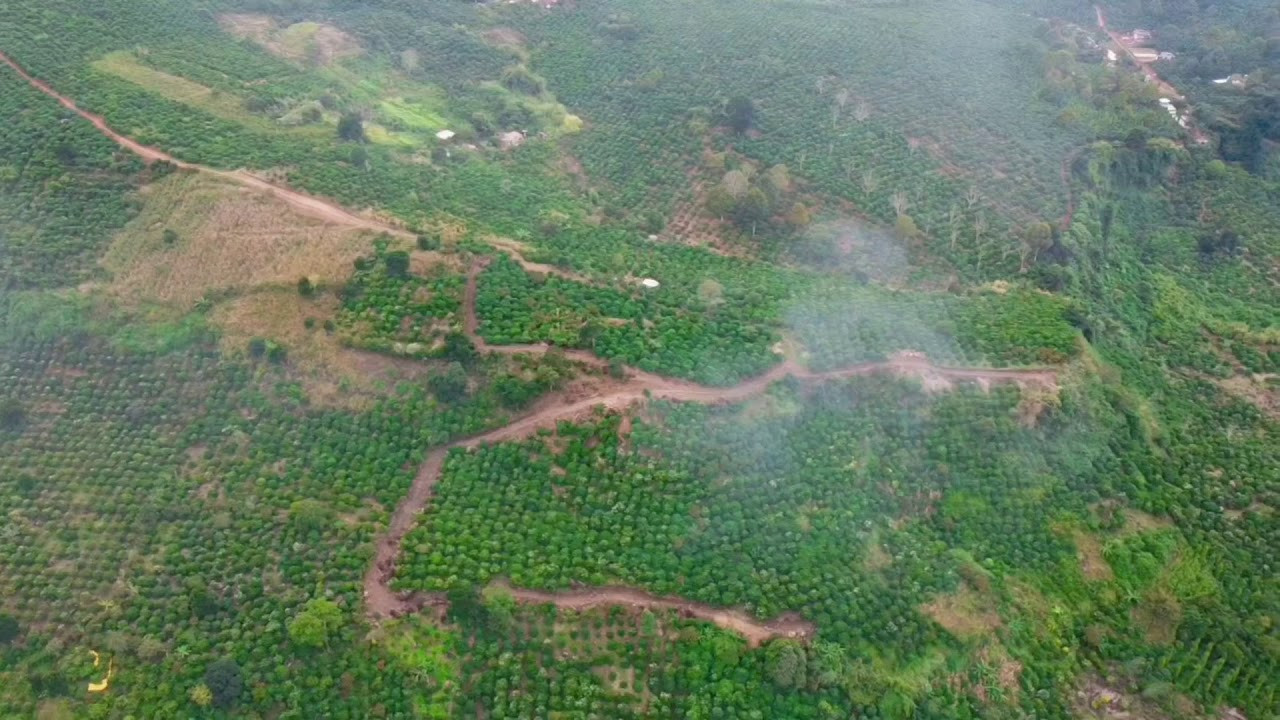 Chính Chủ Bán Nhanh đất Mũi Tàu Sườn đồi, View Cao Sông đồng Nai 1