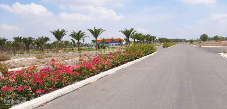 Chính Chủ Bán Nhanh đất Nền Mega City 2 đường 25c, Ngay Khu Phú Hội Nhơn Trạch, đồng Nai, Chỉ 750 Triệu/100m2 3