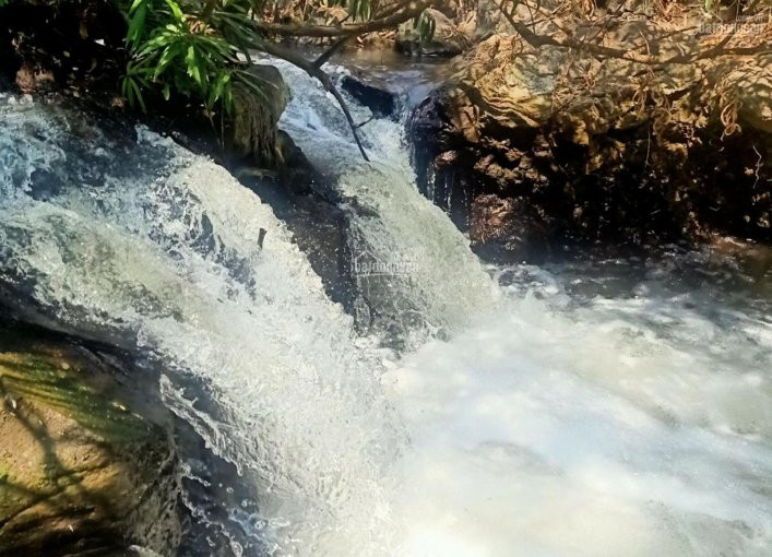 Chính Chủ Bán Nhanh đất Nhà Vườn - Nghỉ Dưỡng - Sào, Hecta- Hoà Long-long Phước- Long Tân-long điền -đất đỏ-brvt 7