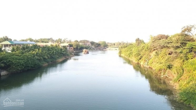 Chính Chủ Bán Nhanh đất Thổ Cư 916m2 View Sông đẹp, đường ô Tô Tới đất, Lagi - Bình Thuận 3 Tỷ 1