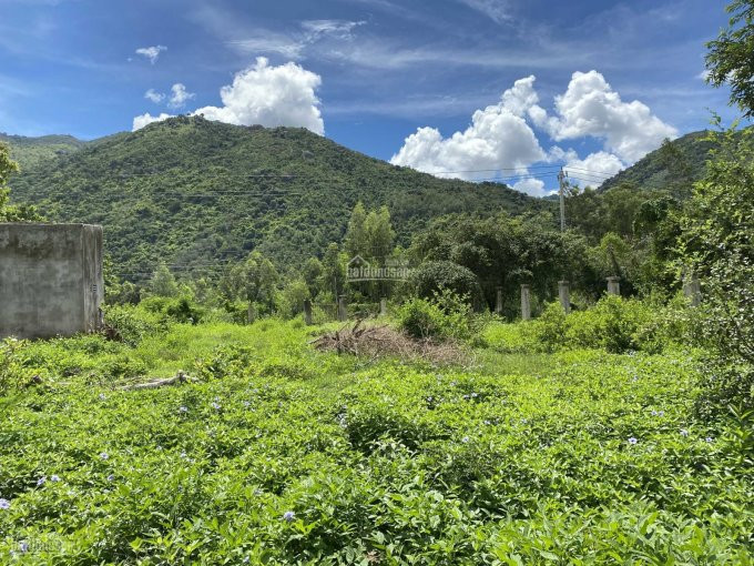 Chính Chủ Bán Nhanh đất Tỉnh Lộ 3, Phước đồng đất Mt đường Tỉnh Lộ 3 - Giá đầu Tư, Lh: 0356112863 & 0797192989 5