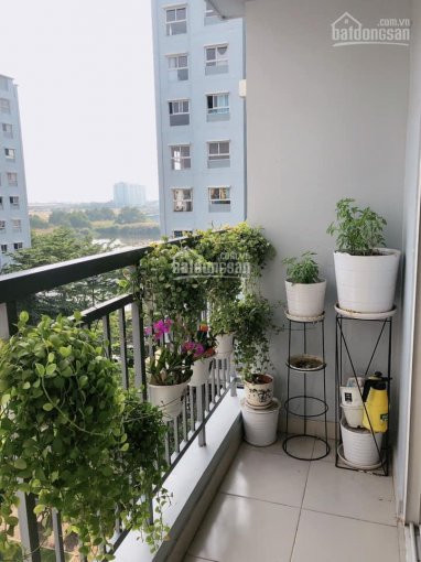 Chính Chủ Bán Nhanh Gấp Căn Hộ 2pn Ehome 3 Có Balcon Sơn Mới Khi Giao Nhà Giá Thấp Kỷ Lục 1 Tỷ 7 5