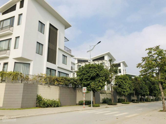 Chính Chủ Bán Nhanh Gấp Nhà Vườn 135m2 Mặt đường 22m Khu Biệt Thự Minh Tâm, Cổ Linh, Long Biên Giá Chỉ Từ 17 Tỷ 1