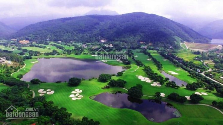 Chính Chủ Bán Nhanh Lô Biệt Thự Sân Golf Tam đảo Vĩnh Phúc, View Sân Golf, Mặt Tiền 55m, Giá Chỉ 6,x Tỷ 1