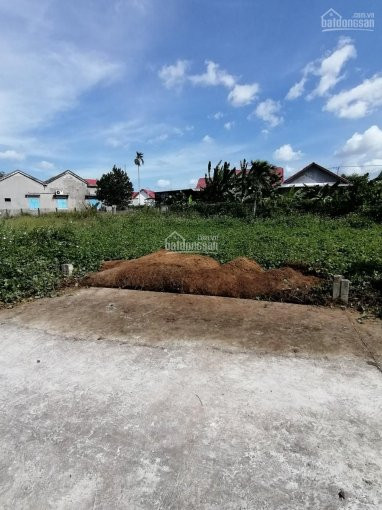 Chính Chủ Bán Nhanh Lô đất Diên Lạc - Diên Khánh Giá đổ Nợ, Vì Không Khả Năng Trả Nợ Ngân Hàng 2