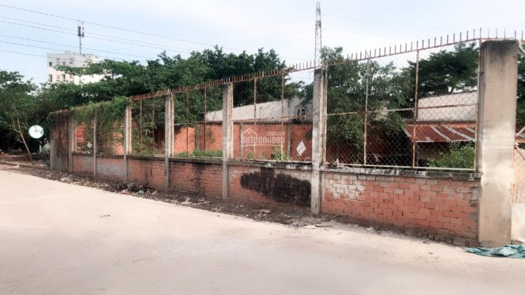 Chính Chủ Bán Nhanh Lô đất Giá Rẻ 53 Triệu/m2 đường Xe Tải Gần đại Học Luật, Phường Hiệp Bình Chánh, Thủ đức 2
