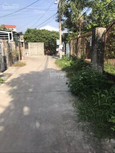 Chính Chủ Bán Nhanh Lô đất Giá Rẻ 53 Triệu/m2 đường Xe Tải Gần đại Học Luật, Phường Hiệp Bình Chánh, Thủ đức 3