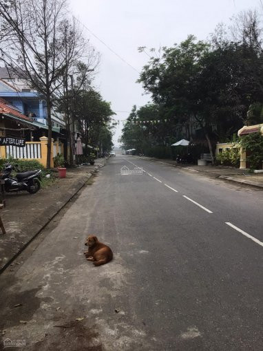 Chính Chủ Bán Nhanh Lô đất Mặt Tiền Nguyễn Phan Vinh, Mặt Tiền Trực Diện Biển An Bang, Hội An 1