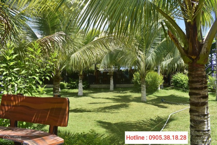 Chính Chủ Bán Nhanh Resort Sinh Thái Huyện Diên Hánh Cực đẹp, Cực Hiếm 7