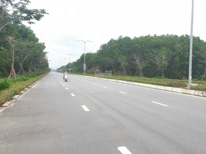 Chính Chủ Cần Bán 1000m2 đất Làm Nhà Vườn Trang Tại 1000m2 Có 600m2 đất ở Gần Bà Nà Và Sân Gof Khí Hậu Mát Mẻ 4