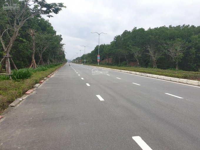 Chính Chủ Cần Bán 1000m2 đất Làm Nhà Vườn Trang Tại 1000m2 Có 600m2 đất ở Gần Bà Nà Và Sân Gof Khí Hậu Mát Mẻ 5