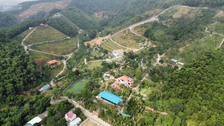 Chính Chủ Cần Bán 1,2ha đất Trang Trại Khu Nghỉ Dưỡng đối Diện Sân Gôn Phượng Hoàng, Lương Sơn 6