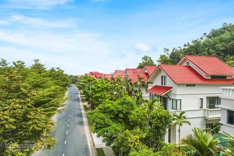 Chính Chủ Cần Bán Biệt Thự đơn Lập Xanh Villas, View Suối, đường Lớn, Mặt Tiền 20m, Dt: 450m2 1