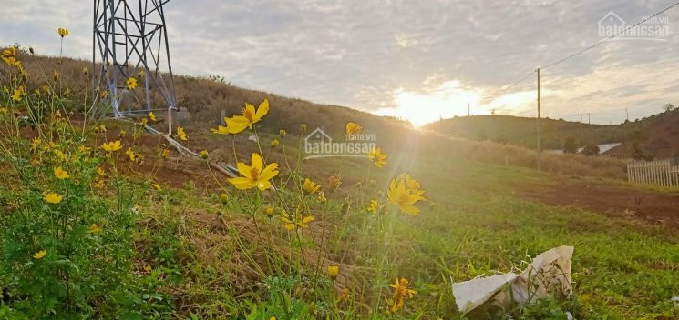 Chính Chủ Cần Bán đất Ngay Bảo Lộc - Lâm đồng Giá Rẻ để đầu Tư, Kinh Doanh, Làm Homestay 1