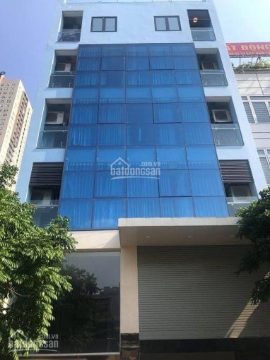 Chính Chủ Cần Cho Thuê Gấp Vp Nguyễn Khang Dt 80m2, Giá Chỉ Có 9tr Full Dịch Vụ, Miễn Phí 1 Tháng Tiền Thuê 3