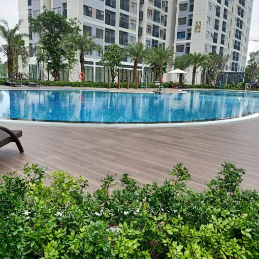 Chính Chủ Cho Thuê Nhanh Căn 3pn Ntcb Vinhomes Grand Park View Hồ Bơi Giá 8tr Lh: 0906234169 5